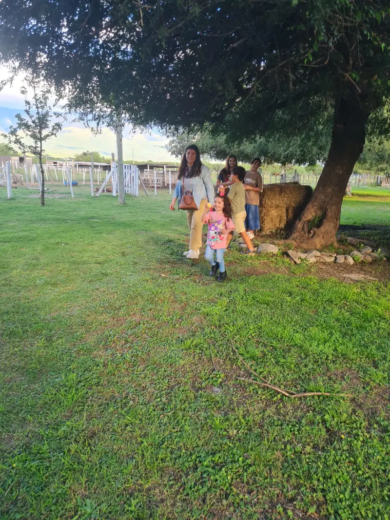 Familias disfrutando del parque bajo un árbol