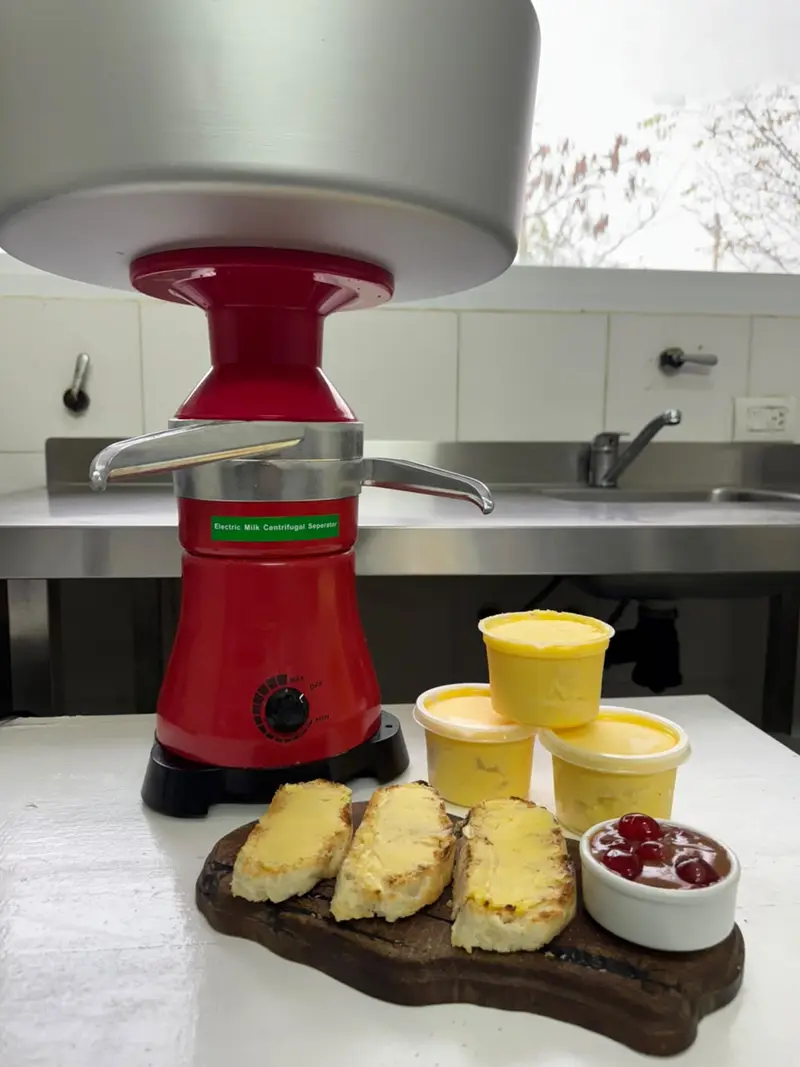 Descremadora de leche y manteca casera
