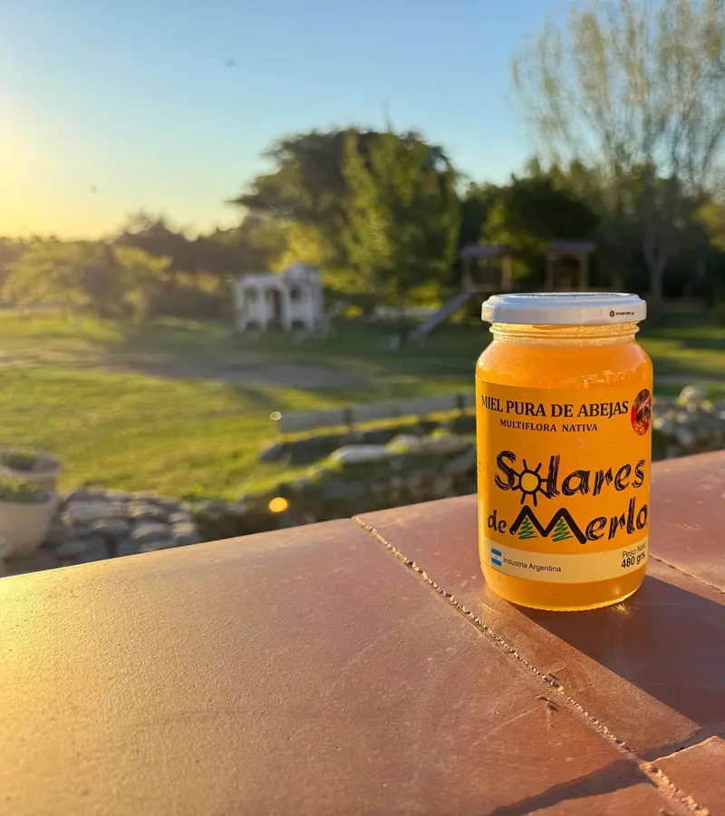 Frasco de miel pura de abejas de productores de Merlo